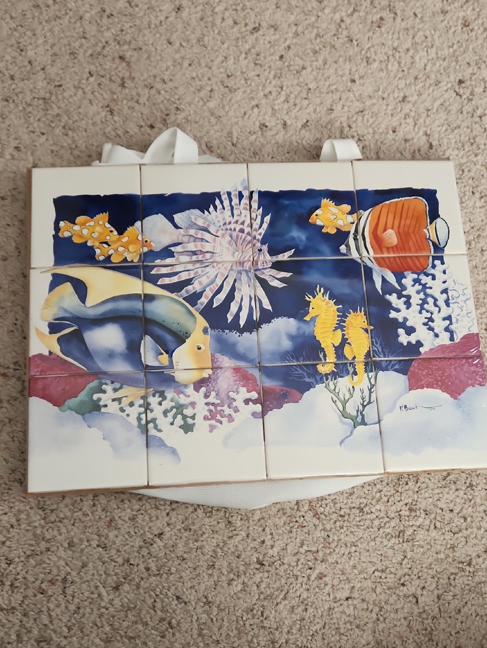 Paul Brent Under The Sea Design 12 Tile Mural NEW